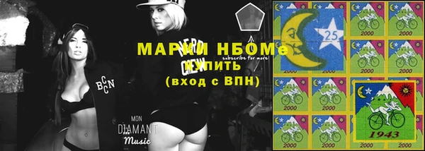 индика Алзамай