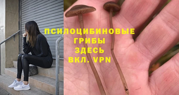 амфетамин Алексин