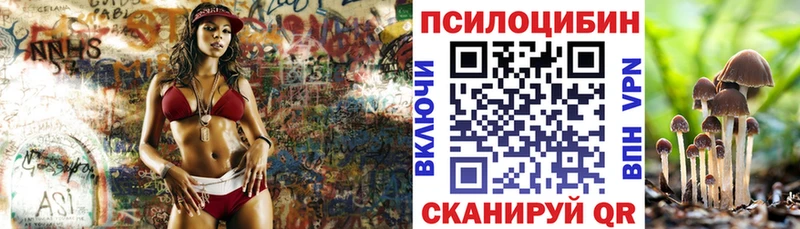 Галлюциногенные грибы Psilocybine cubensis  закладки  Сорочинск 